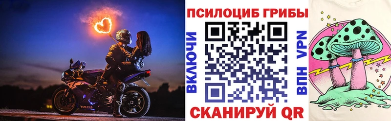 Псилоцибиновые грибы MAGIC MUSHROOMS  Верещагино 